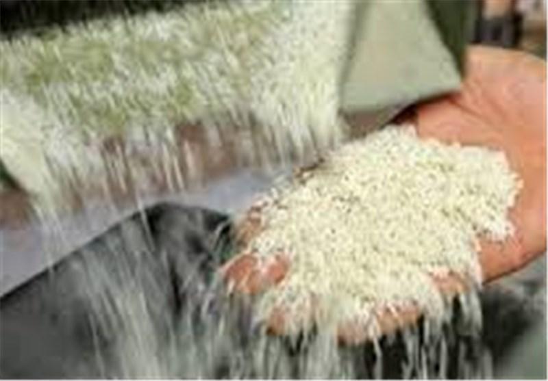 برنج تایلندی در بورس کالا معامله شد