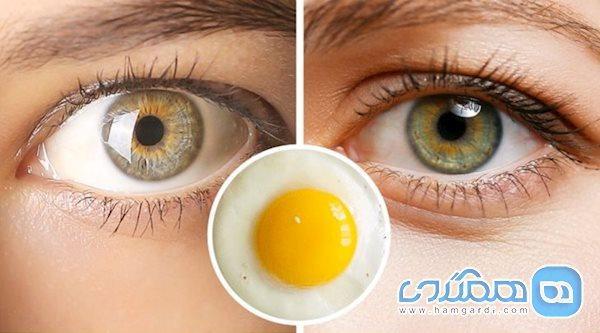 7 ماده غذایی برای افزایش رشد مژه ها 7 ماده غذایی برای افزایش رشد مژه ها