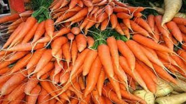 قیمت یک کیلو هویج در بازار چقدر است؟