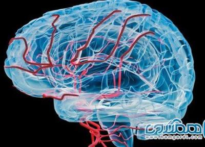 راهکارهایی برای افزایش جریان خون در مغز