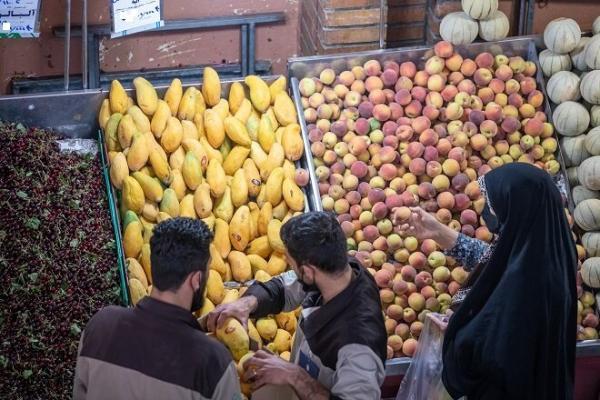 قیمت انواع میوه در میادین و بازارهای میوه و تره بار اعلام شد ، هر کیلوگرم پاپایا 89 هزار تومان
