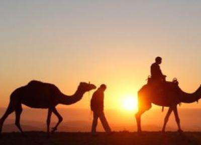 کویر مصر کجاست ☀️ راهنمای سفر